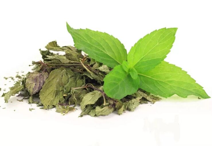 Green tea in ABBILITY