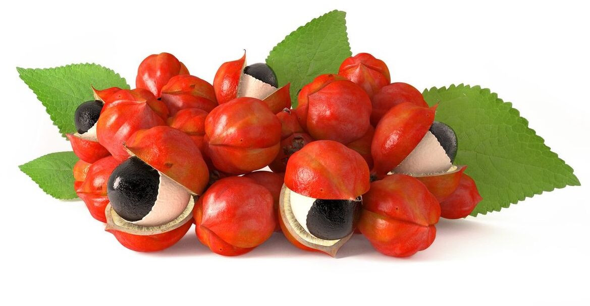 Guarana seed extract on ABSlim