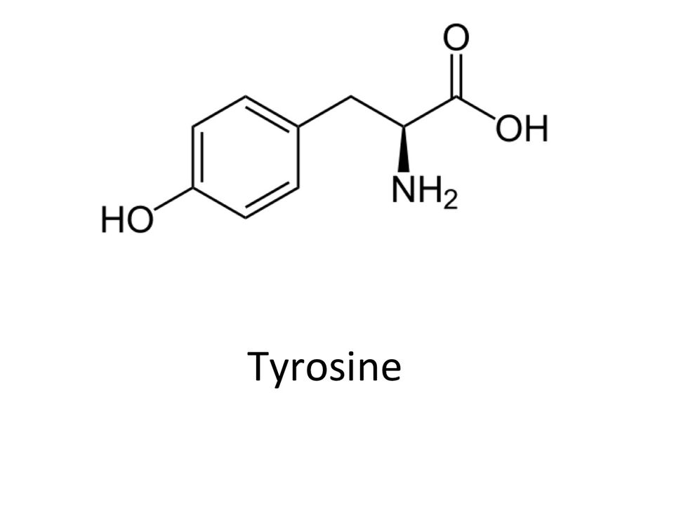 Tyrosine in absorclum